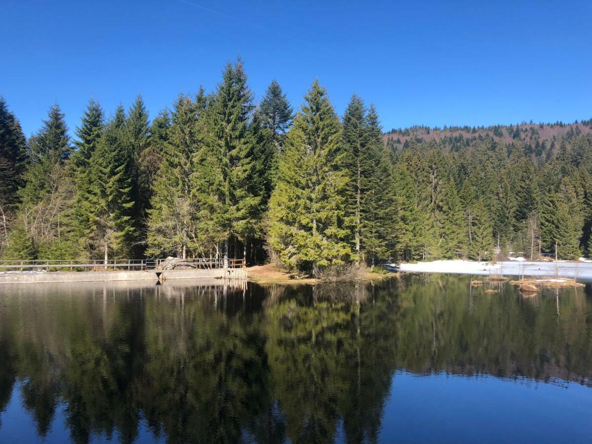 Appartamento Ma Montagne Chic La Bresse Esterno foto
